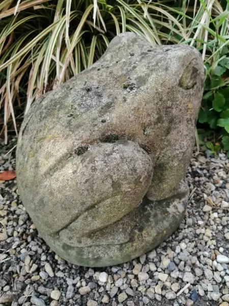 Artikelbild 3 des Artikels “Frosch, ca. 23cm. Steinguss “